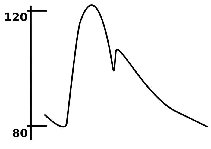Diagramma della pressione arterisa. Di Benutzer:Lupino (Benutzer:Lupino sein Kopf) [Public domain], via Wikimedia Commons