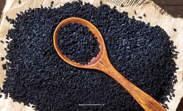 Cumino nero: proprietà e benefici dei semi e dell’olio