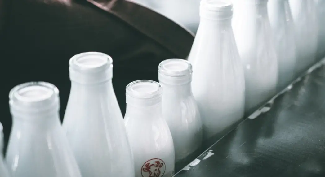 Il processo di pastorizzazione del latte
