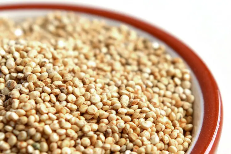 Quinoa: valori nutrizionali, macronutrienti