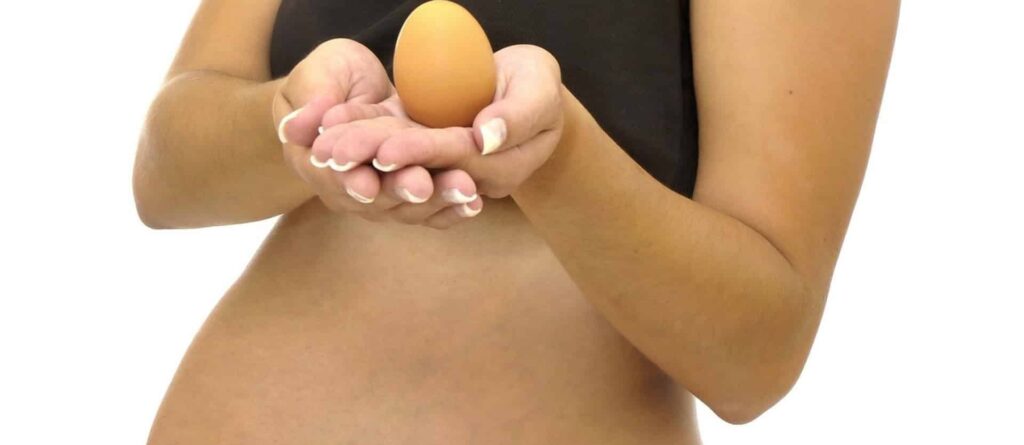 Uova in gravidanza